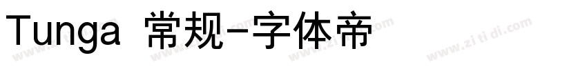 Tunga 常规字体转换